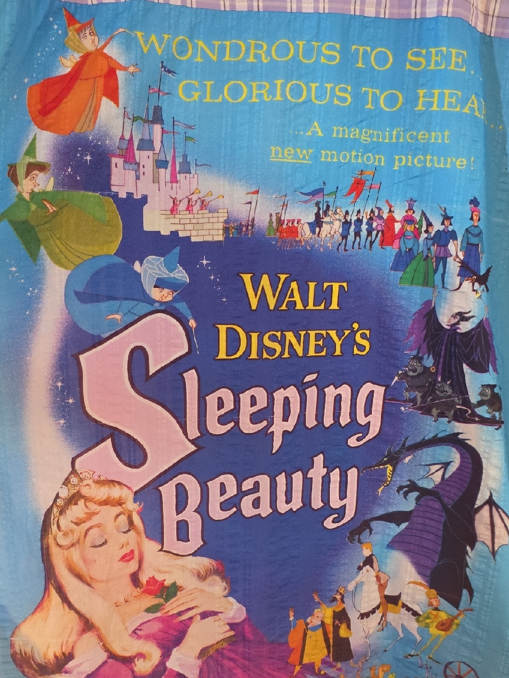 Disney Parks x Walt Disney's Sleeping Beauty Plaid Button up